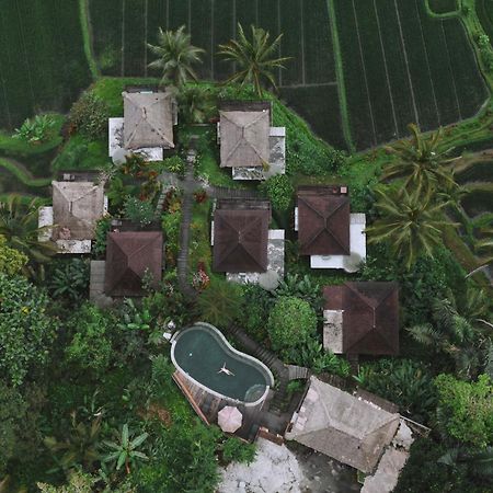 Vila Tirta Sari Tampaksiring Exteriér fotografie