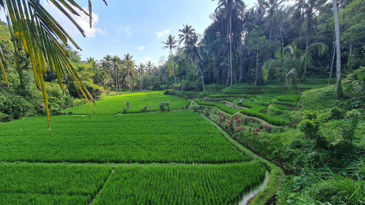 Vila Tirta Sari Tampaksiring Exteriér fotografie