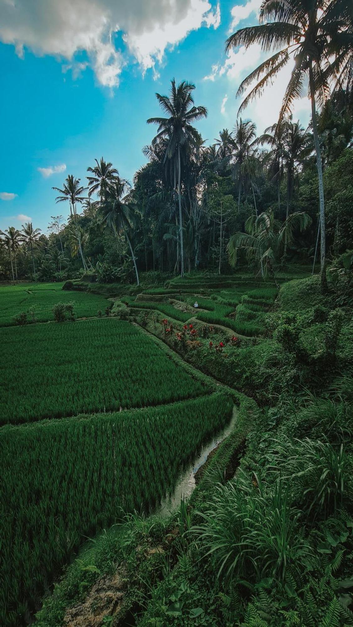 Vila Tirta Sari Tampaksiring Exteriér fotografie
