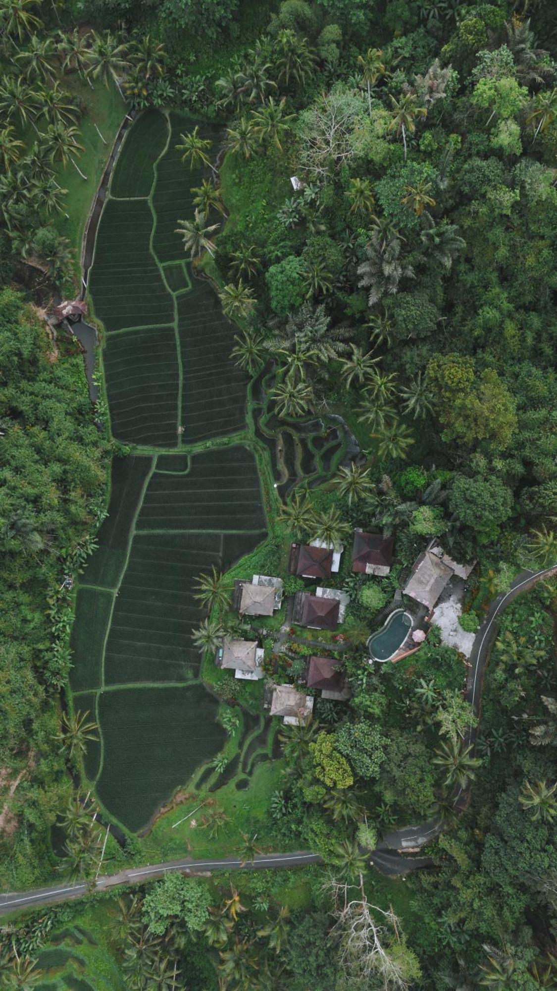 Vila Tirta Sari Tampaksiring Exteriér fotografie